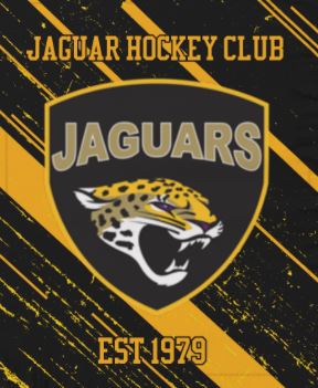 2024 Jaguar Stadium Blanket